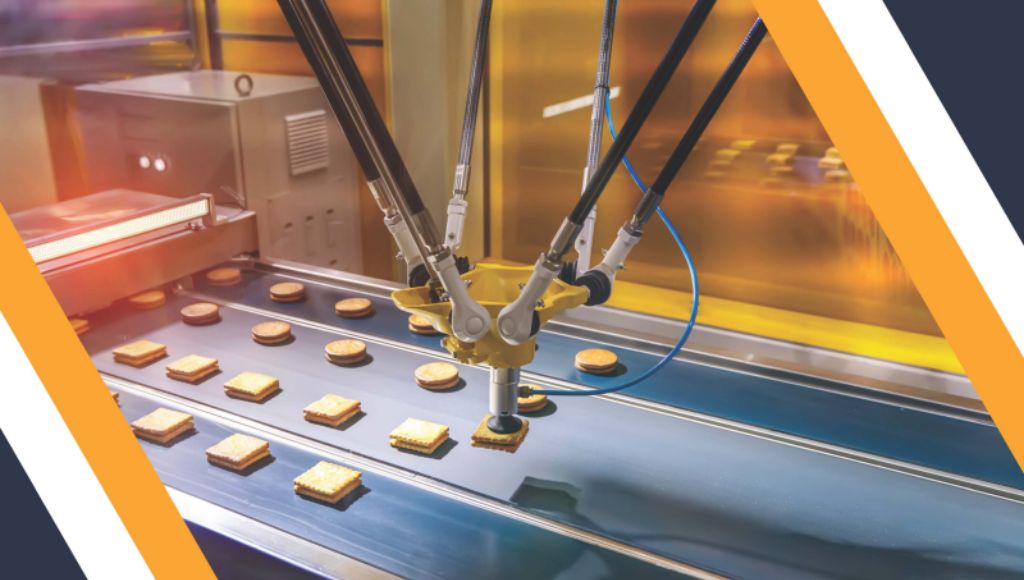 Intelligent Business Automation Case Studies